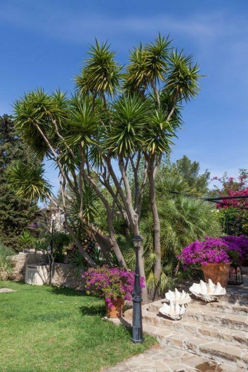 Hotel Rural Cas Pla (Adults Only) Sant Miquel De Balansat Exterior photo